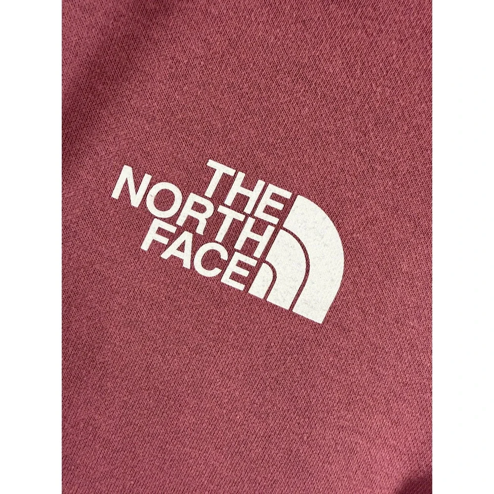 The North Face Mens Rose Pink Graphic Pullover Hoodie Large Never Stop Exploring